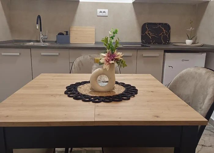 Stan Na Dan Djina - Lejlighed Banja Koviljača